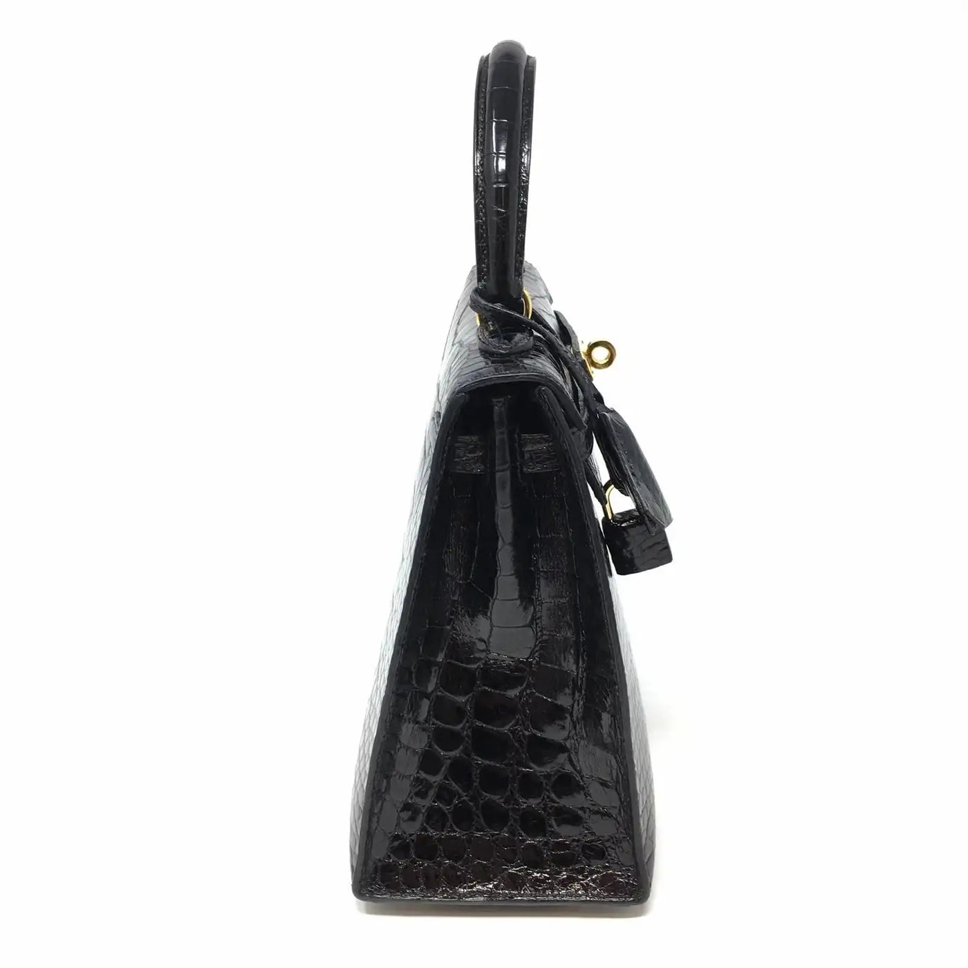 Sac de luxe pour femme / F3000217