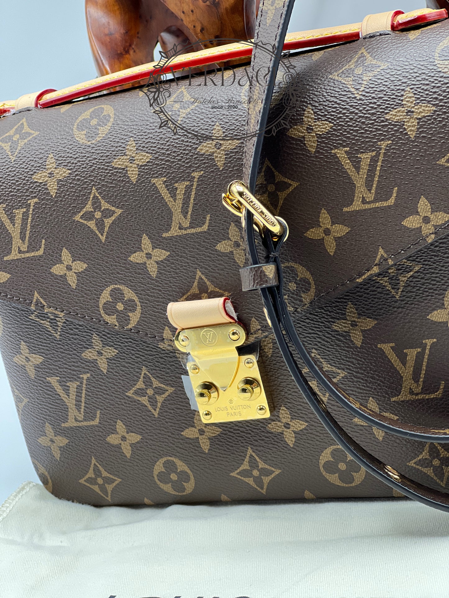 Sac Cuir de luxe pour femme / F3000132
