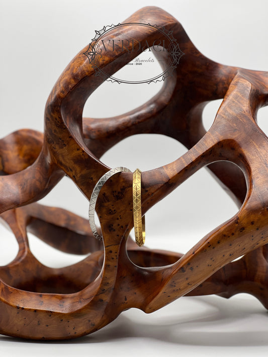 Bracelet de Luxe Pour Homme / H300424