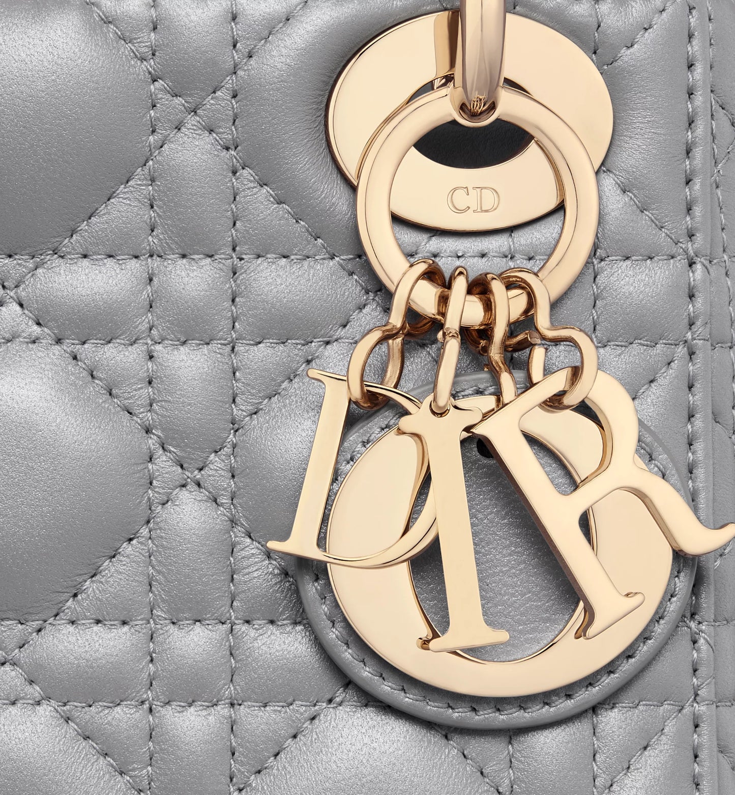 Sac de luxe pour femme / F3000272