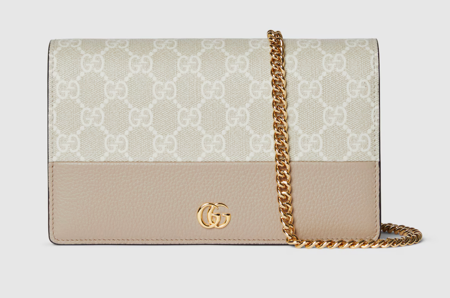 Sac de luxe pour femme / F3000225