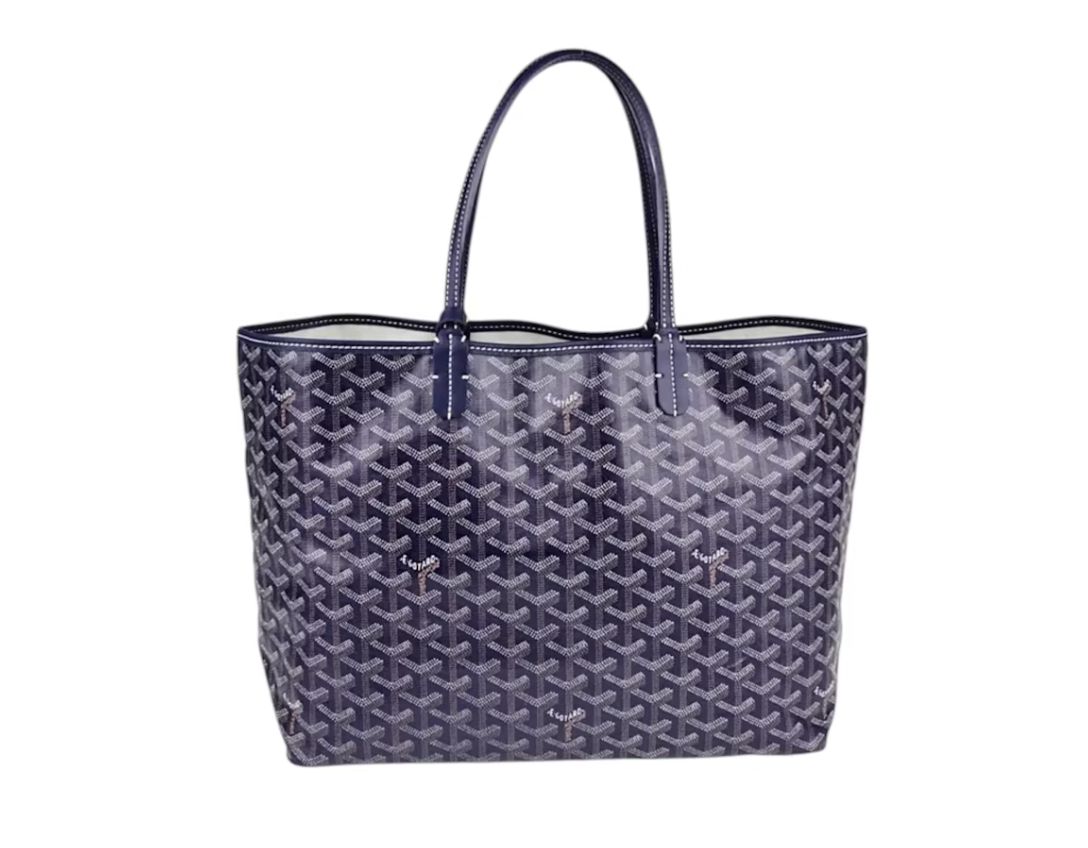 Sac de luxe pour femme / F3000377