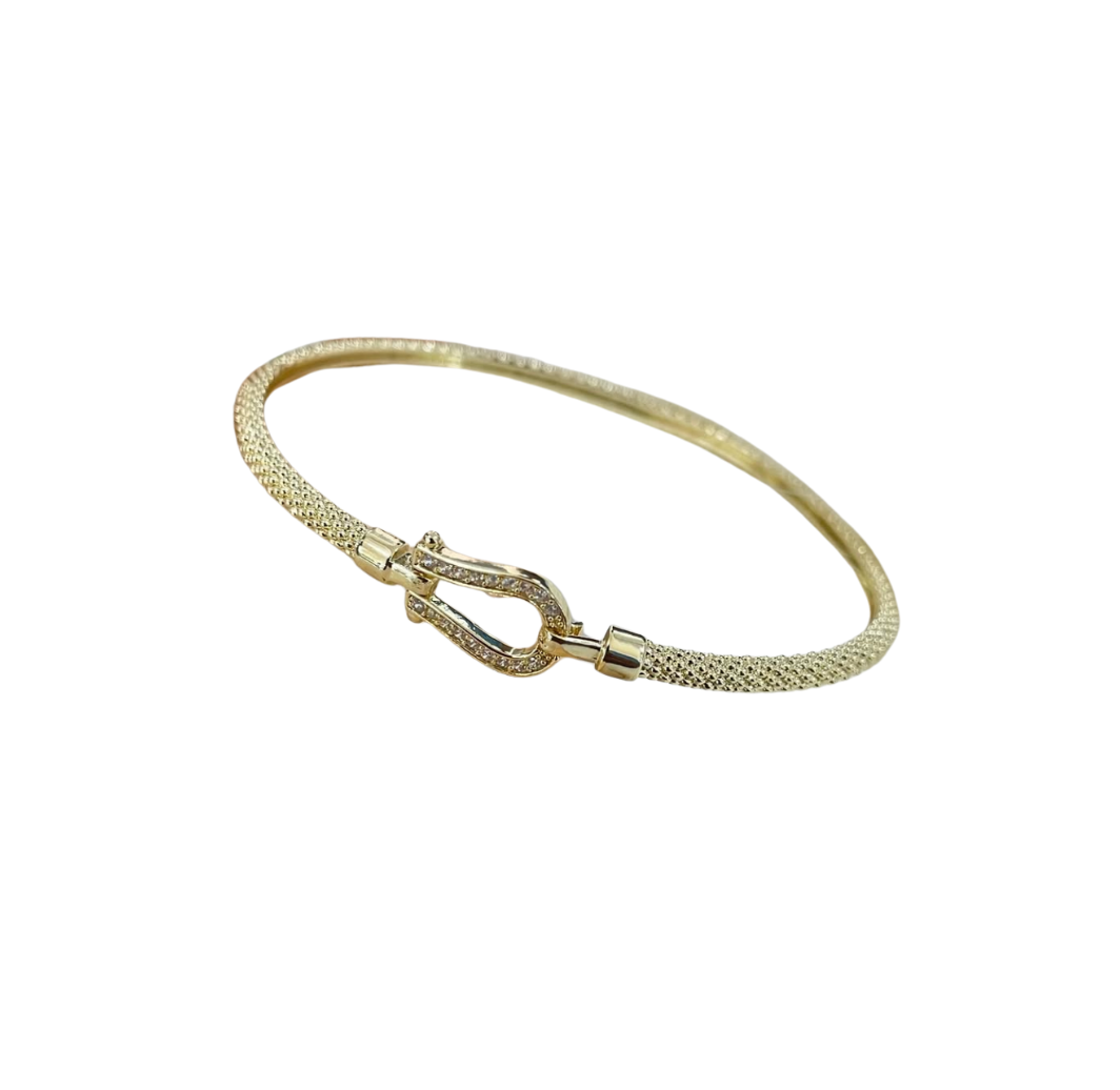Bracelet de Luxe Pour Femme / F300223
