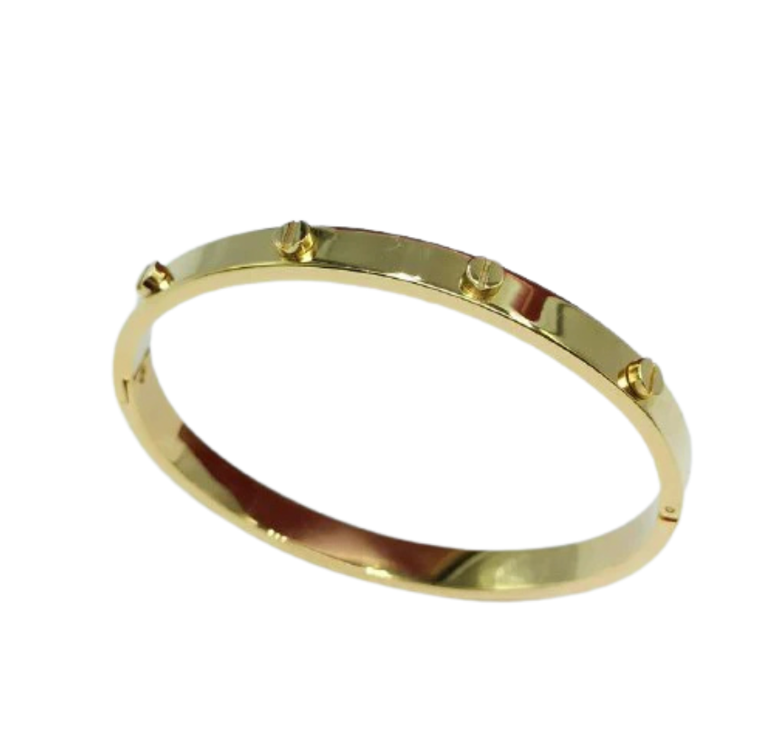 Bracelet De Luxe Pour Femme / F30091