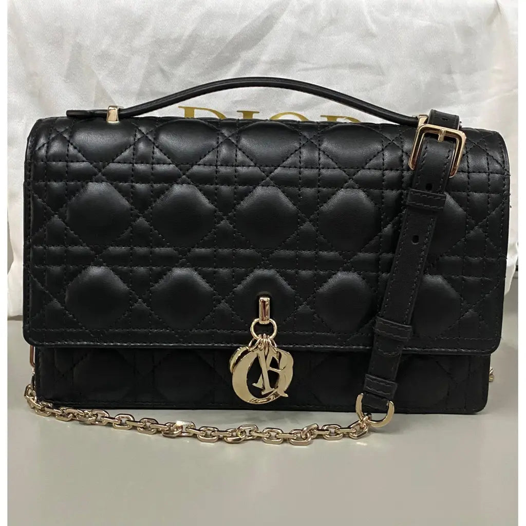 Sac de luxe pour femme / F3000331