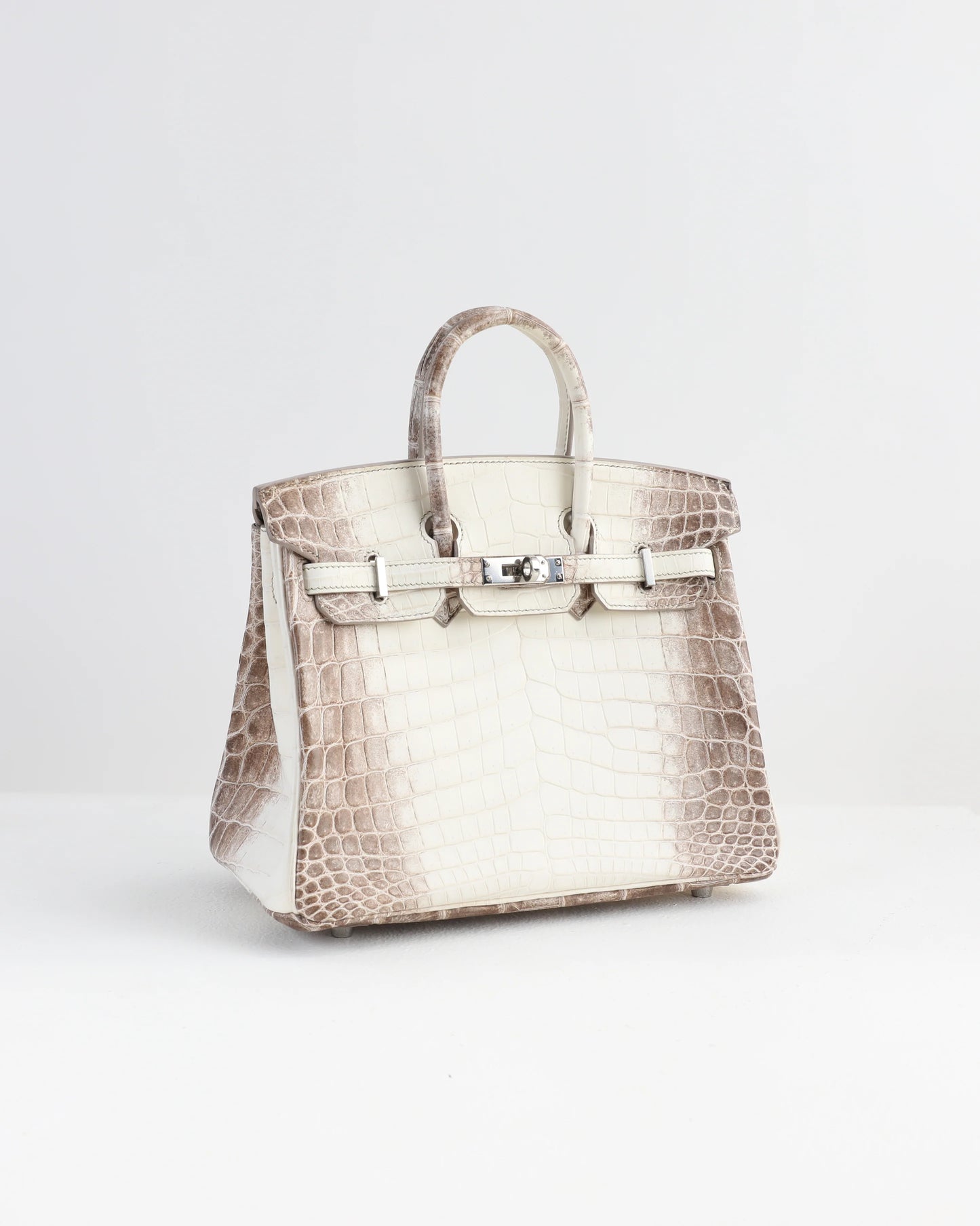 Sac de luxe pour femme / F3000238