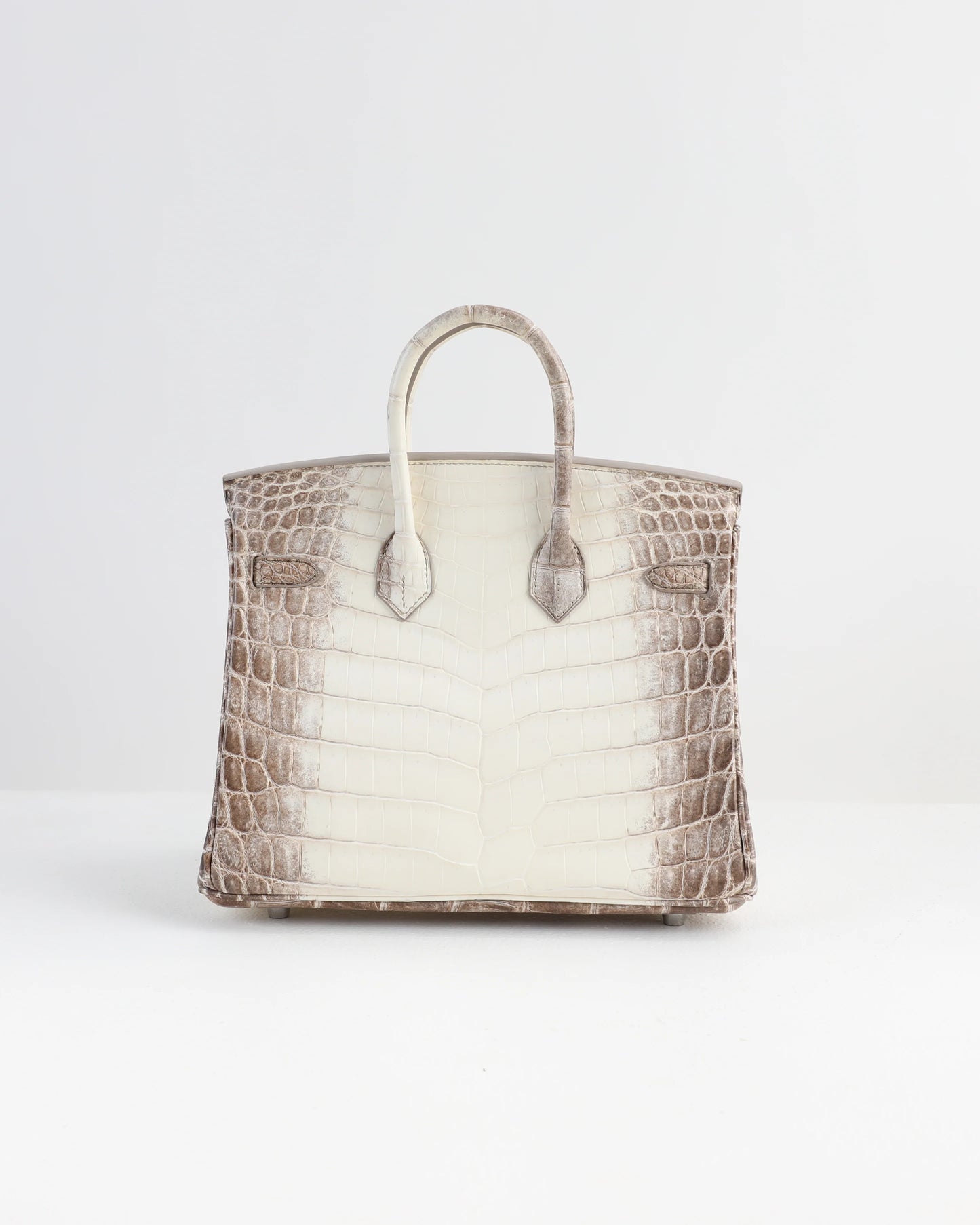 Sac de luxe pour femme / F3000238