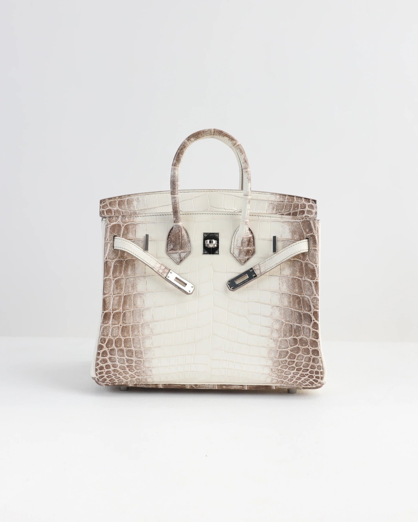 Sac de luxe pour femme / F3000238