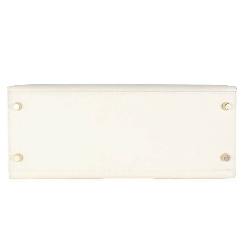 Sac de luxe pour femme / F3000373