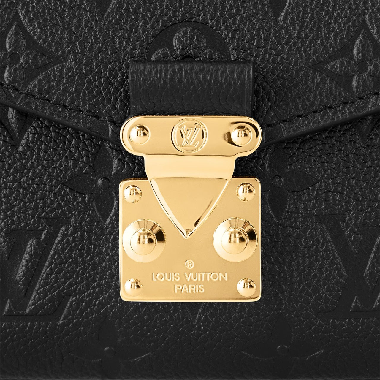 Sac de luxe pour femme / F3000179