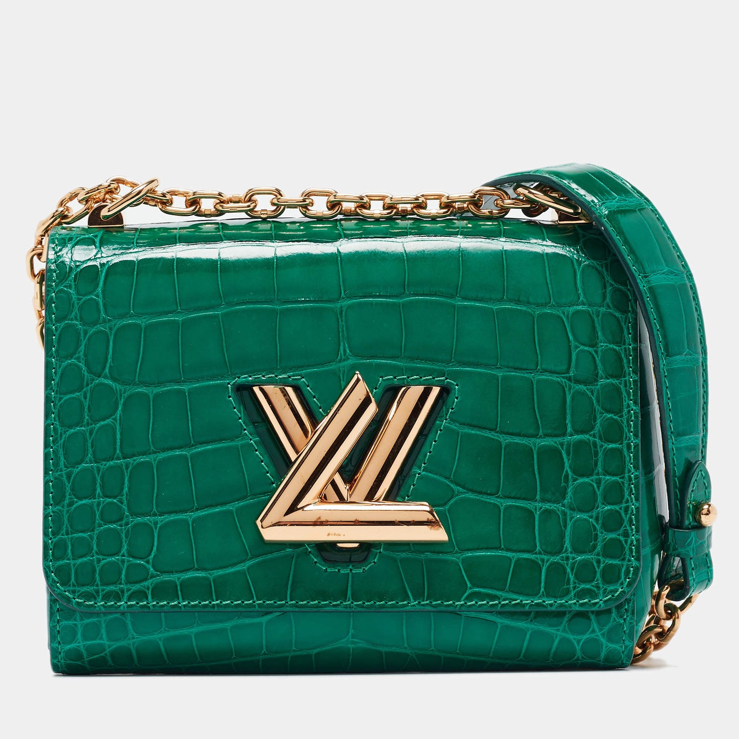 Sac de luxe pour femme / F3000201