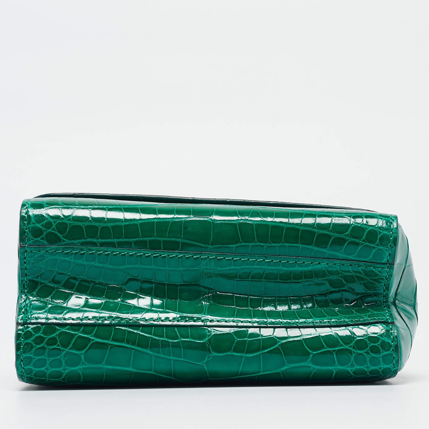 Sac de luxe pour femme / F3000201