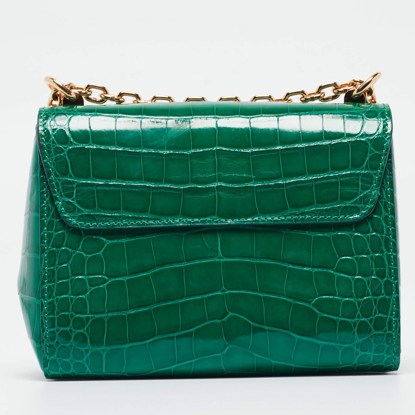 Sac de luxe pour femme / F3000201
