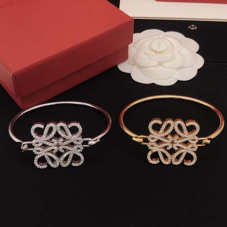 Bracelet de Luxe Pour Femme / F300706