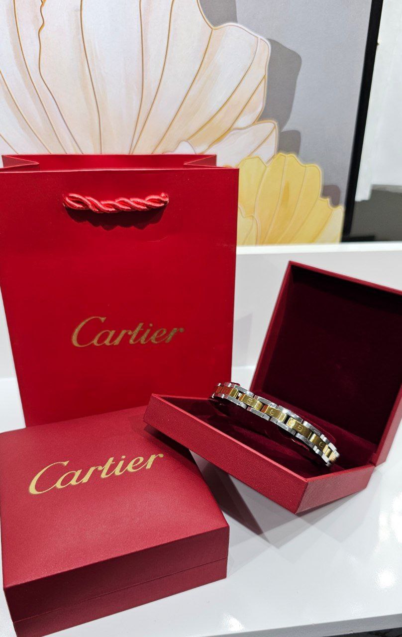 Bracelet de Luxe Pour Homme / H300730