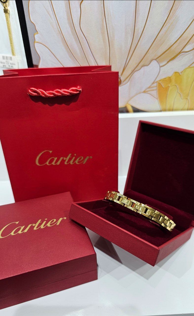 Bracelet de Luxe Pour Homme / H300730