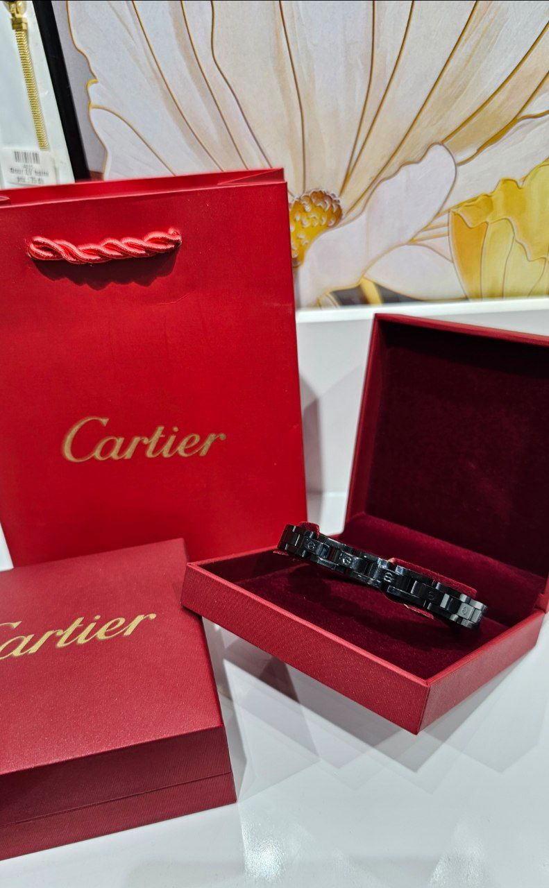 Bracelet de Luxe Pour Homme / H300730