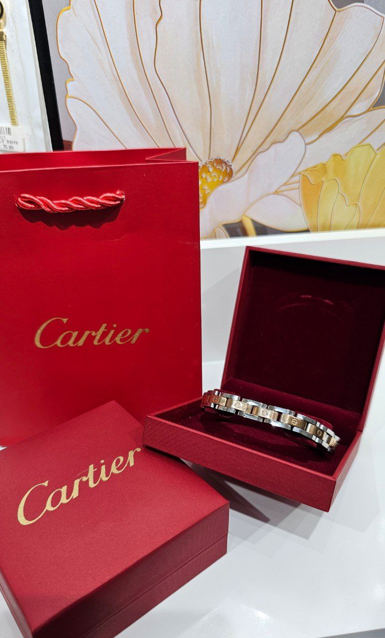 Bracelet de Luxe Pour Homme / H300730