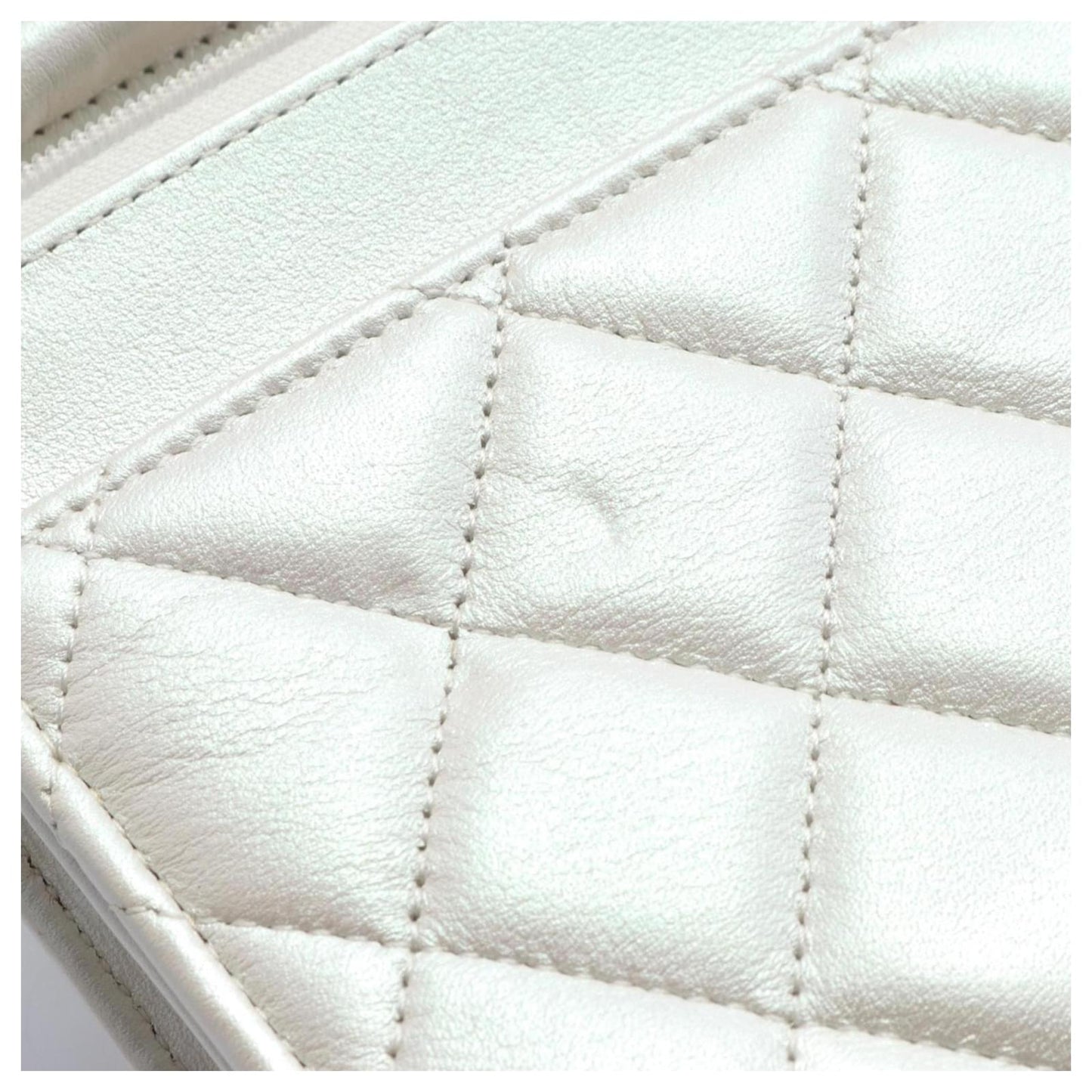 Sac de luxe pour femme / F3000287