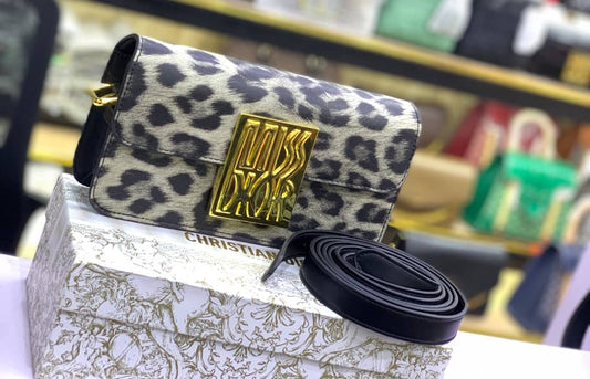 Sac de luxe pour femme / F3000259