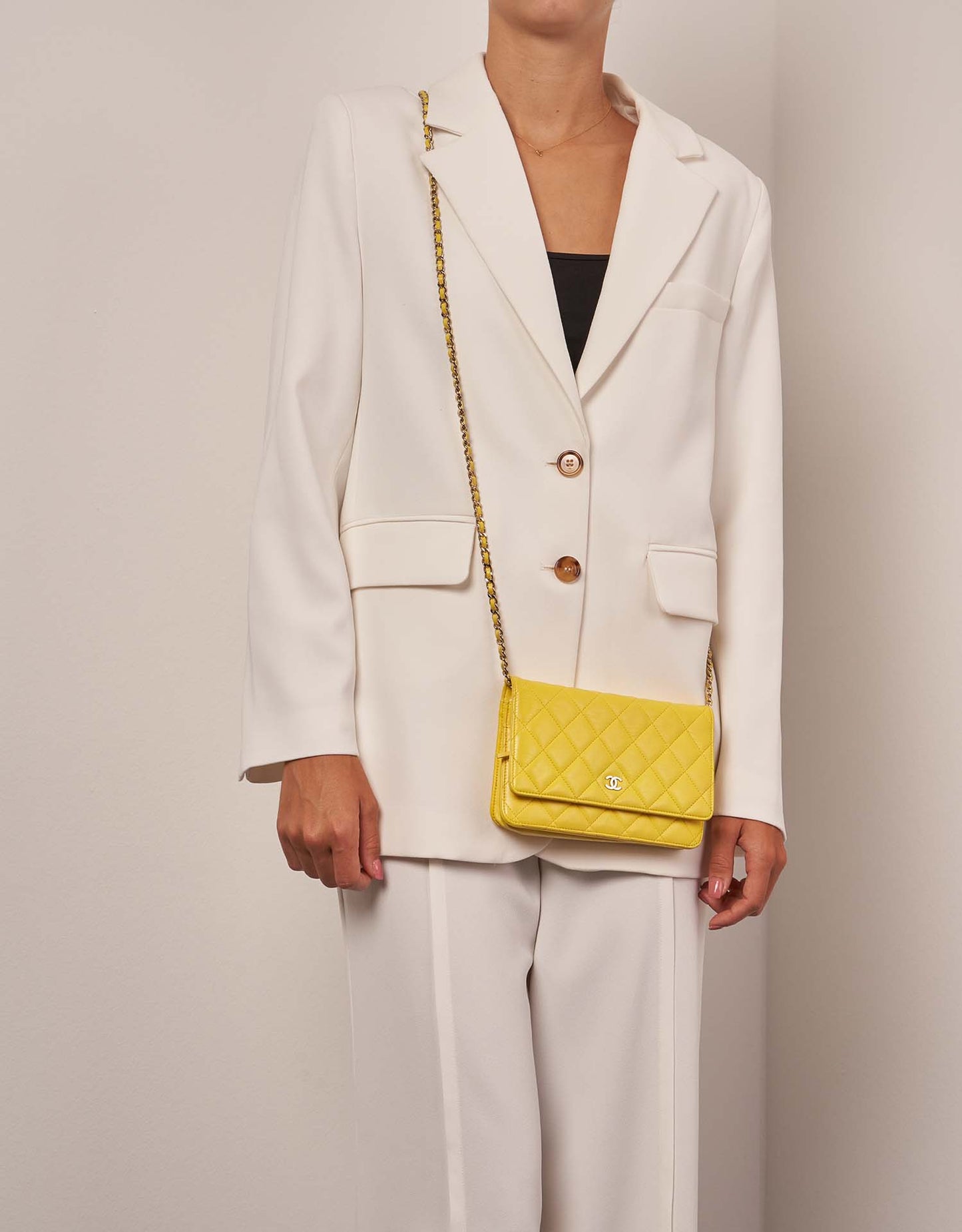 Sac de luxe pour femme / F3000285