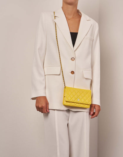 Sac de luxe pour femme / F3000285