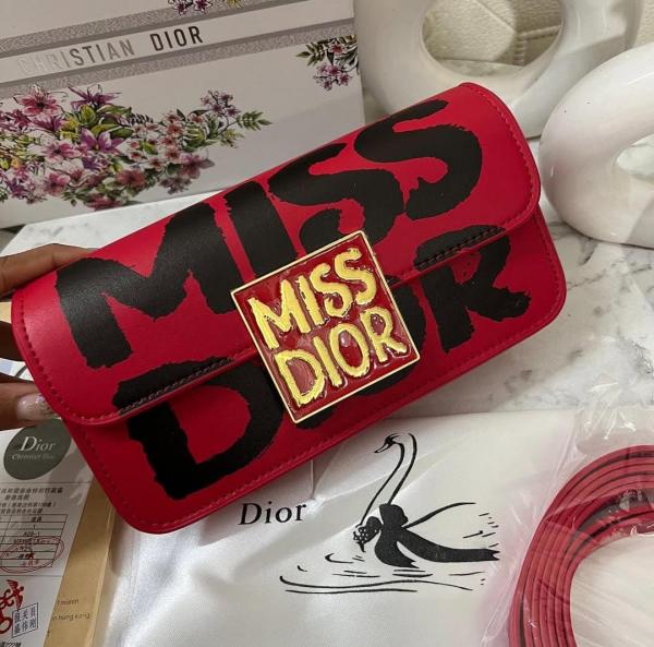 Sac de luxe pour femme / F3000273