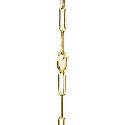 collier de Luxe Pour Femme / F300669