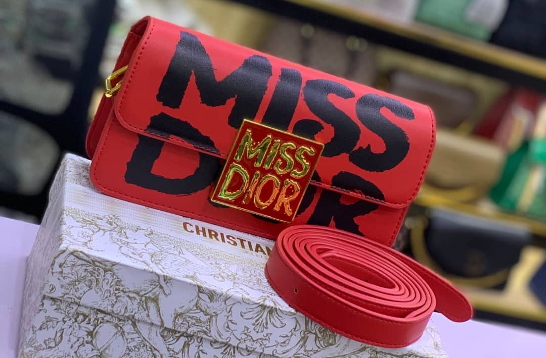 Sac de luxe pour femme / F3000273