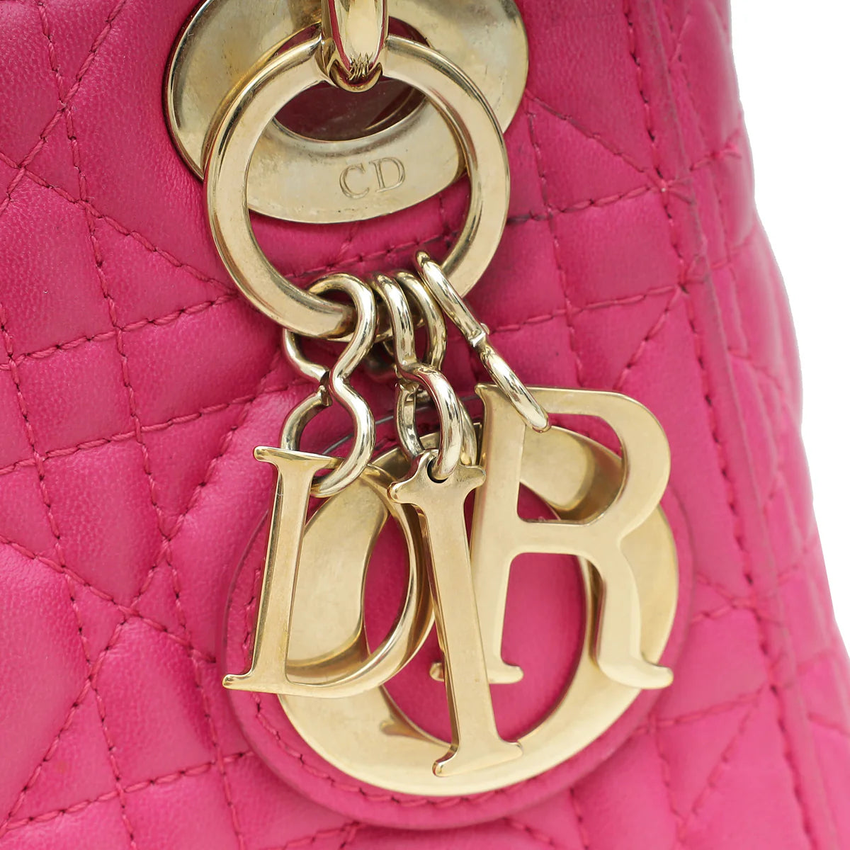 Sac de luxe pour femme / F3000271