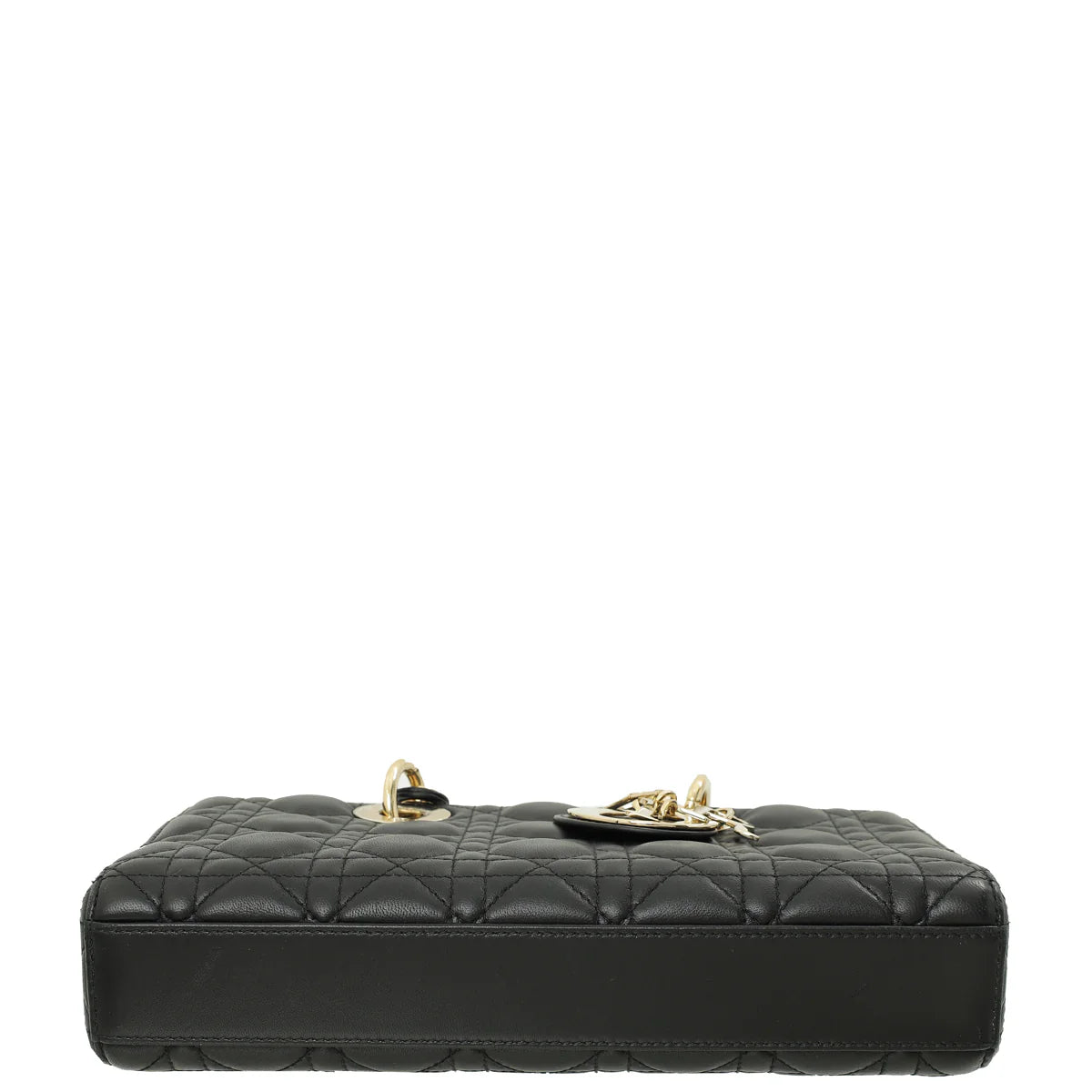 Sac de luxe pour femme / F3000376