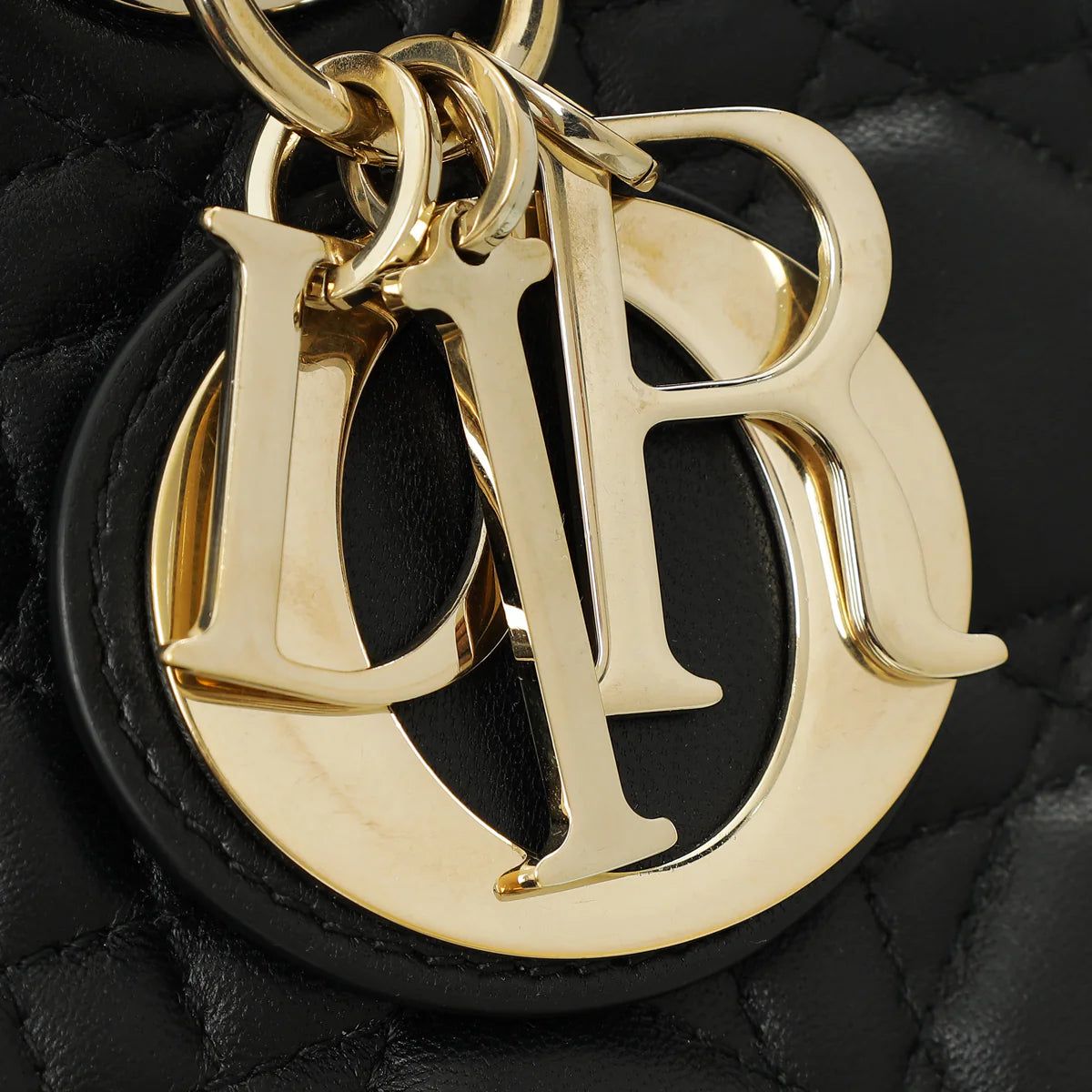 Sac de luxe pour femme / F3000376