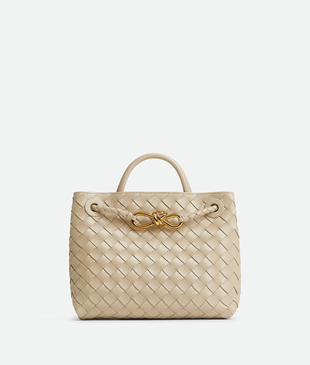 Sac de luxe pour femme / F3000198