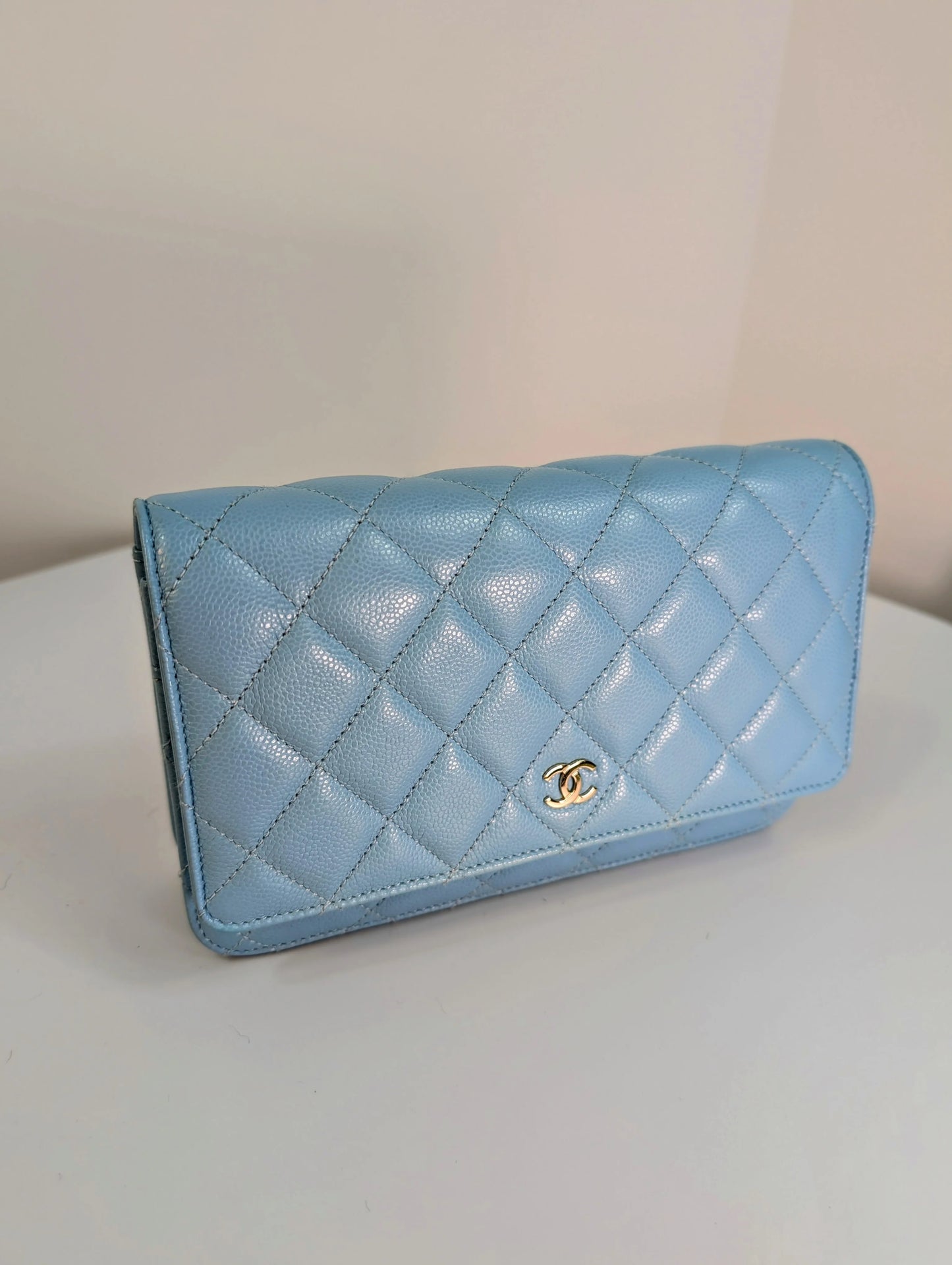 Sac de luxe pour femme / F3000284