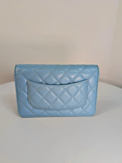 Sac de luxe pour femme / F3000284