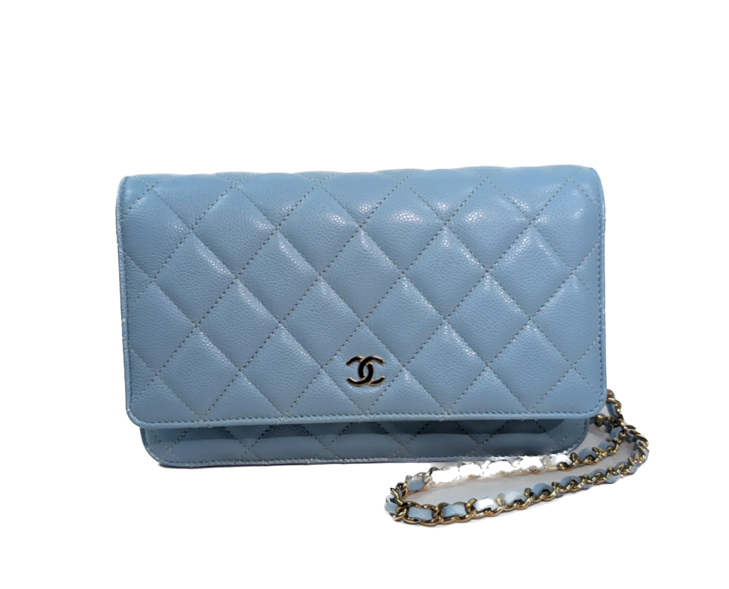 Sac de luxe pour femme / F3000284