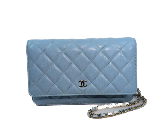 Sac de luxe pour femme / F3000284