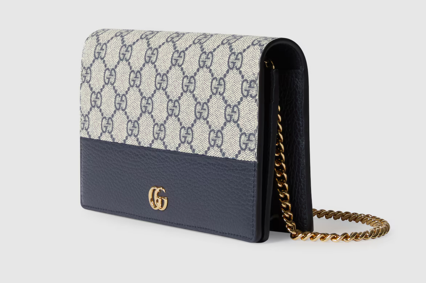 Sac de luxe pour femme / F3000226