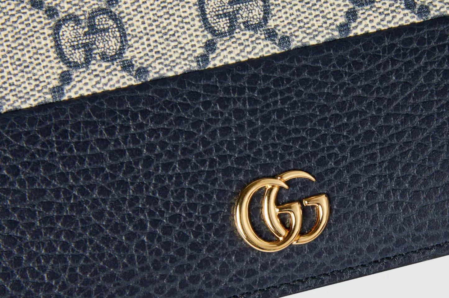 Sac de luxe pour femme / F3000226