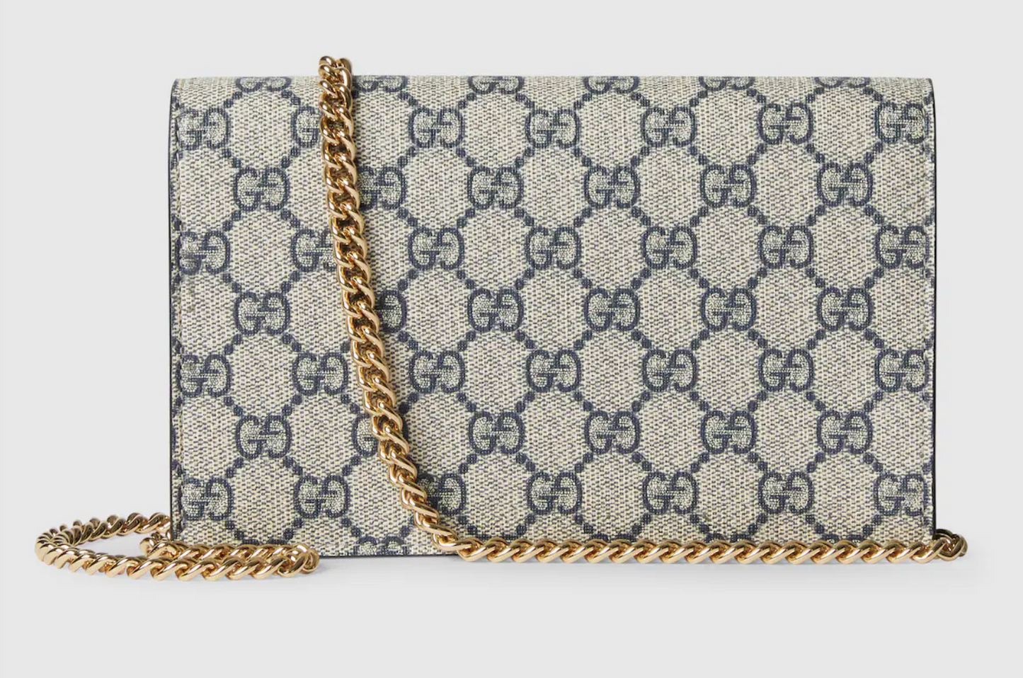 Sac de luxe pour femme / F3000226