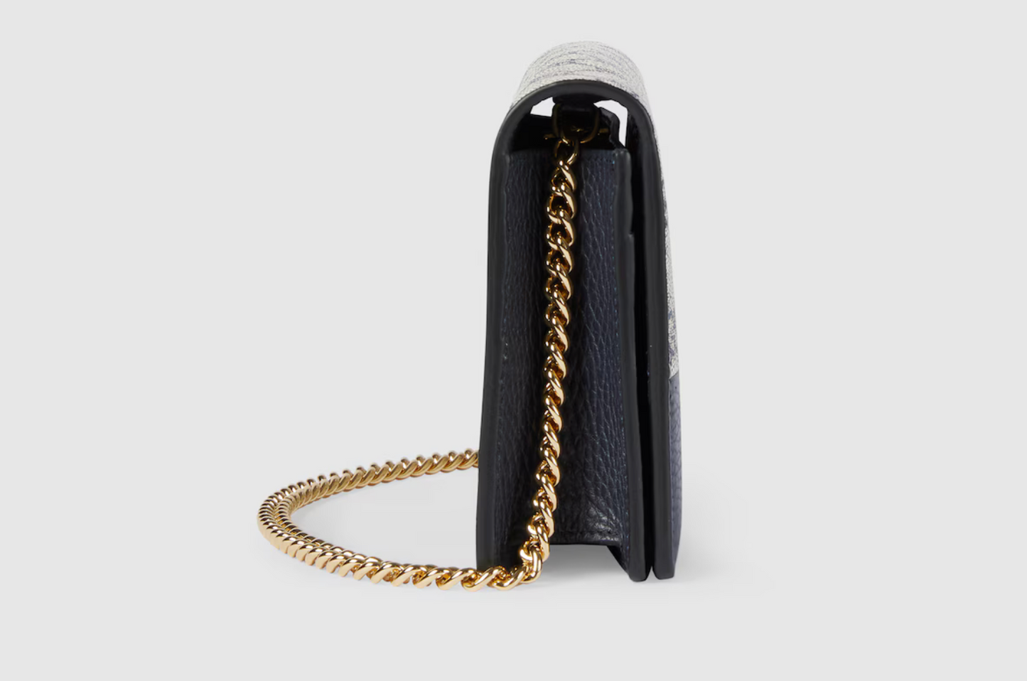 Sac de luxe pour femme / F3000226