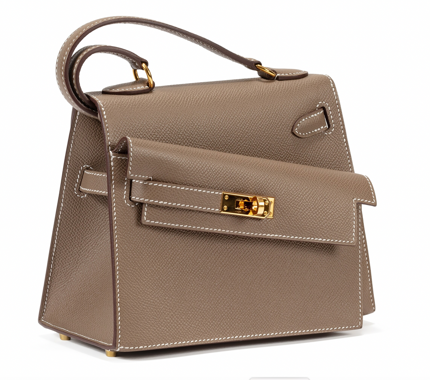 Sac de luxe pour femme / F3000299