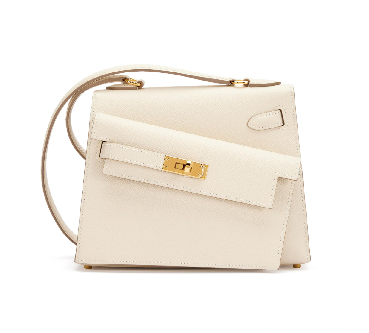 Sac de luxe pour femme / F3000302