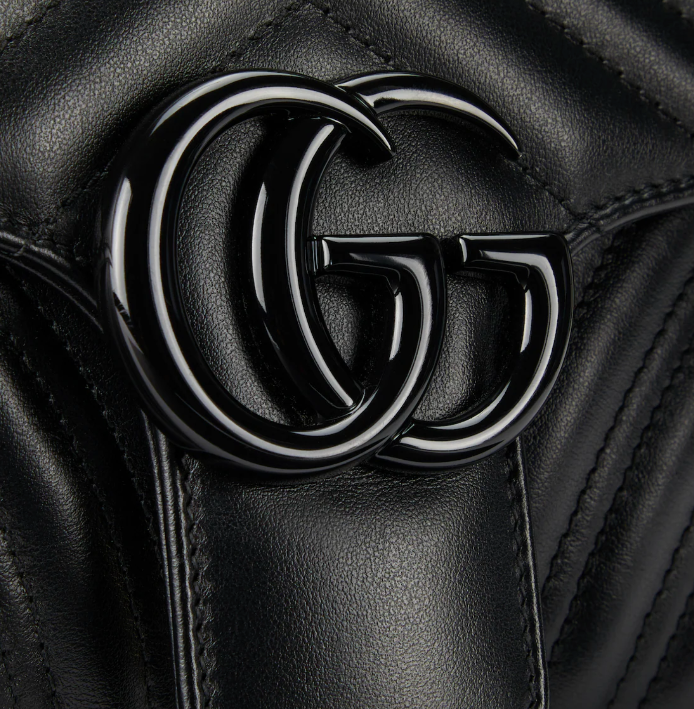 Sac de luxe pour femme / F3000415