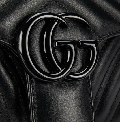 Sac de luxe pour femme / F3000415