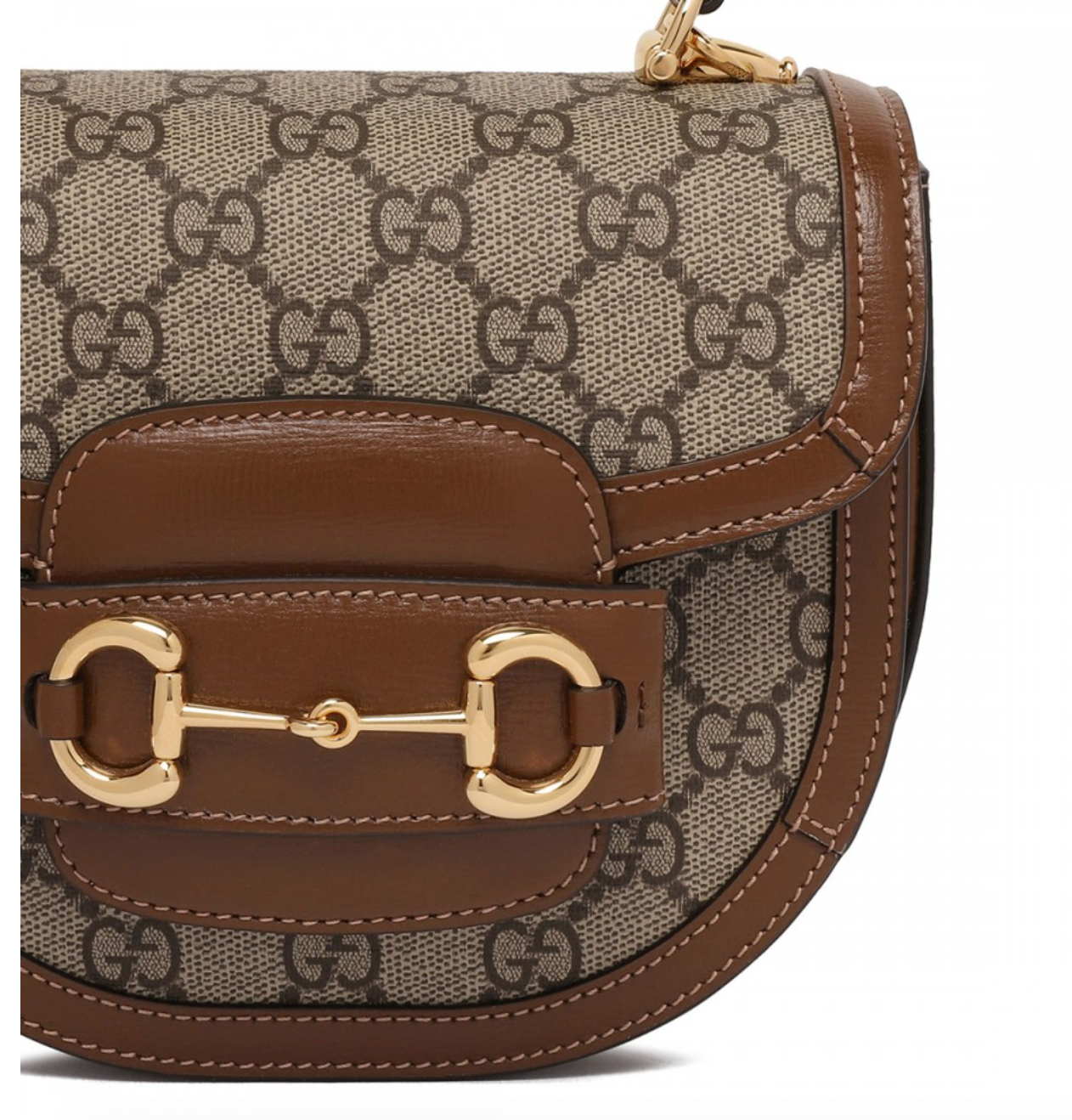Sac de luxe pour femme / F3000421