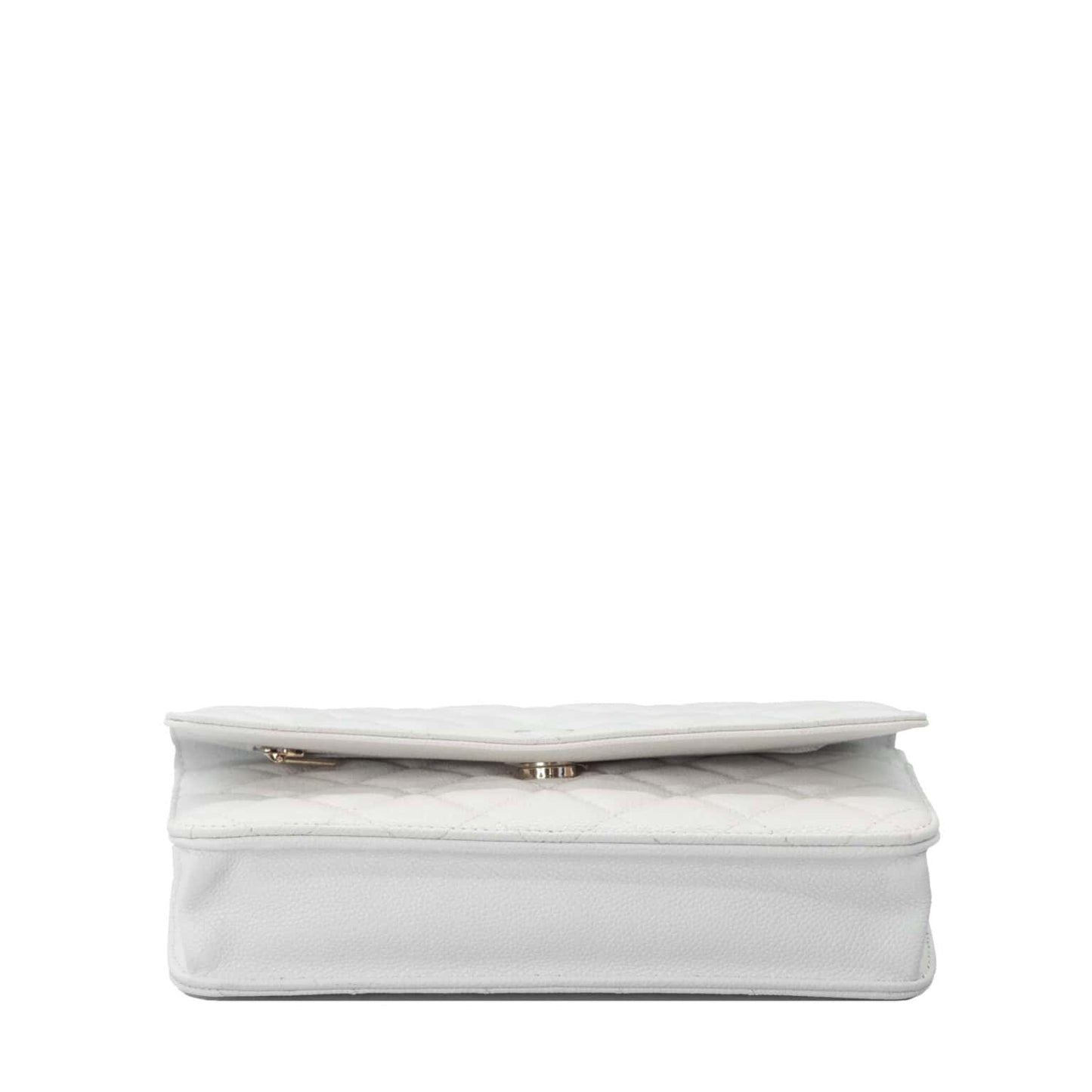 Sac de luxe pour femme / F3000286