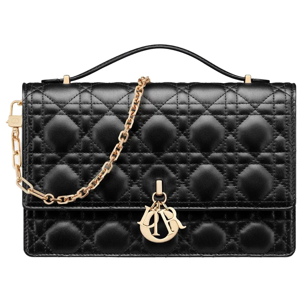 Sac de luxe pour femme / F3000331