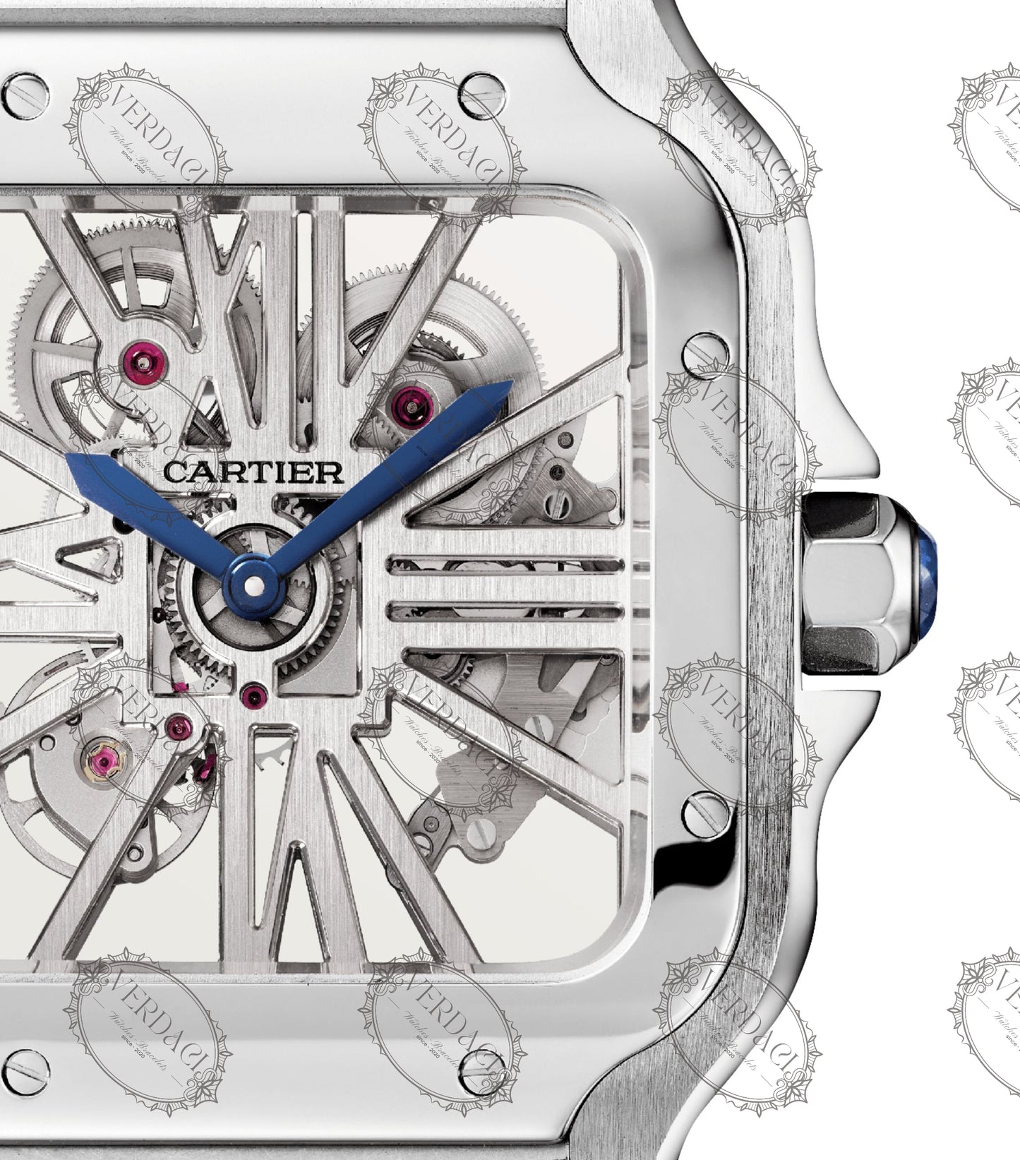 Cartier Santos De Cartier Skeleton WHSA0015