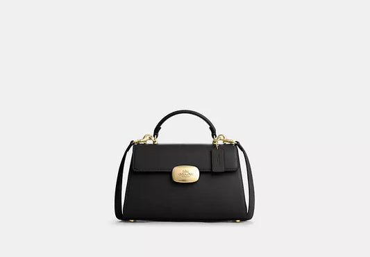 Sac de luxe pour femme / F3000394